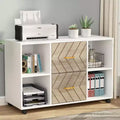 Lantine 2-Drawer File Cabinet, Large Mobile Lateral Filing Cabinet for Letter Size with Printer Stand and Wheels for Home Office, White