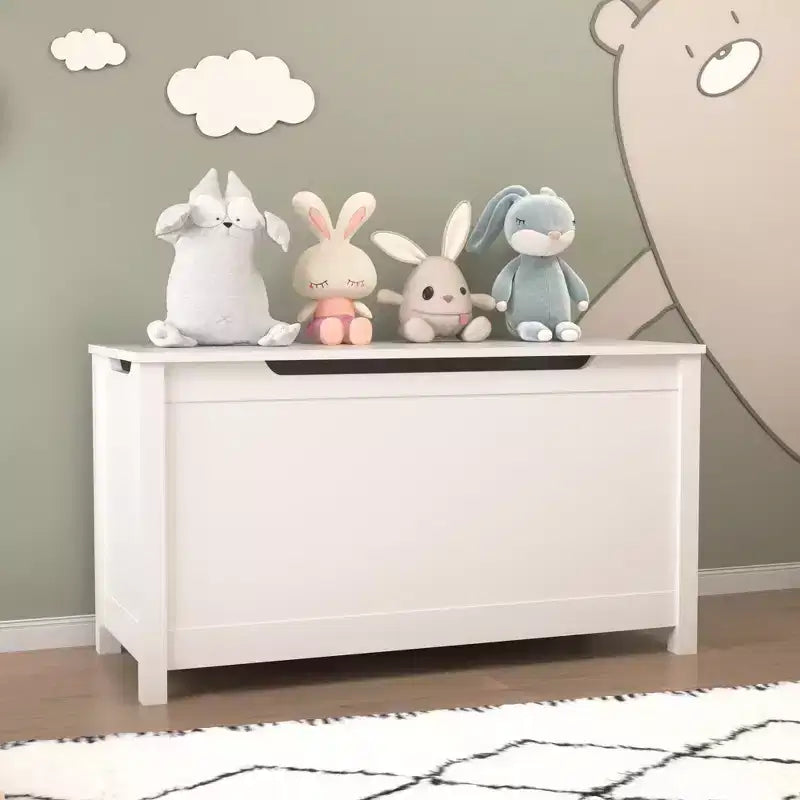 Coffre à jouets en bois pour enfants avec couvercle à charnière de sécurité, pour les 2 ans et plus (blanc)