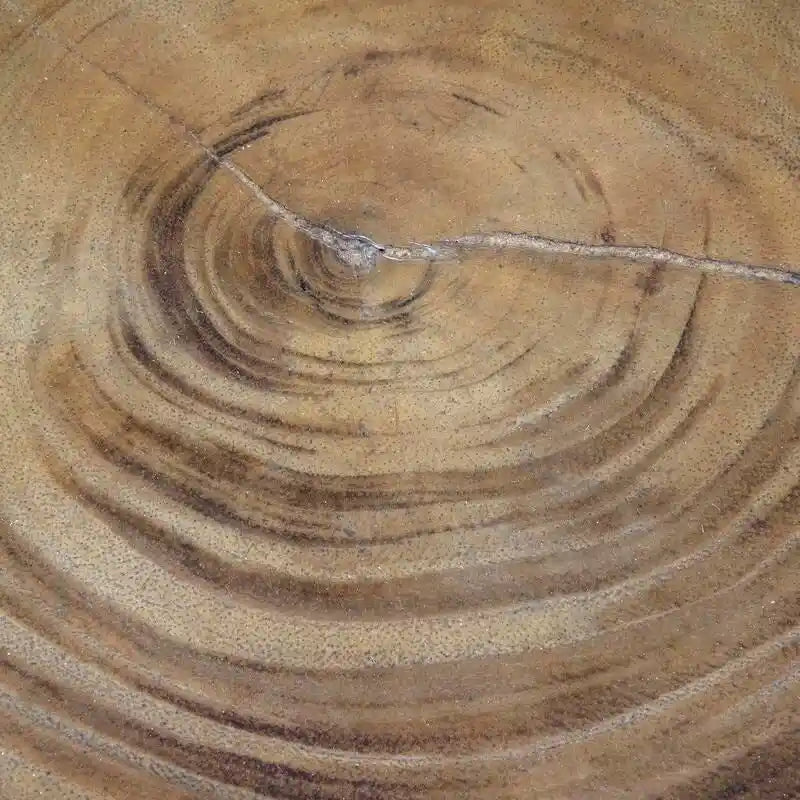 Natural Solid Acacia Wood Round End Table by East at Main