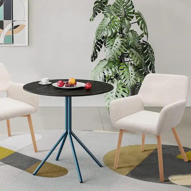 Velvet Modern Accent Arm Chairs with Solid Wood Legs, Set of 2, White